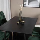 Jídelní stůl Dipp - 120 cm - Černá dýha - Černé nohy š. Brass dipp+Velvet Deluxe Jídelní židle - Zelená / Brass_4