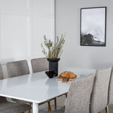 Polar Jídelní stůl 180 cm - Bílá deska / Bílé nohy+Windu Lyx Jídelní židle - Světle šedá / Dub_6