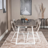 Inca Extentiontable - šedý "dub" / bílá Nohy+Cirebon Jídelní židle - White Wash_4