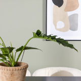 Jídelní stůl Astrid 200*75 - Matná černá / Matná černá MDF s dýhou + Jídelní židle Edina - Černá / Bílá Boucle _6