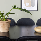 Astrid Jídelní stůl 200*75 - Matná černá / Matná černá MDF s dýhou + Jídelní židle Stella - Černá / Black Velvet _6