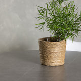 Jídelní stůl Piazza - přírodní / tmavě šedý stříkací kámen + jídelní židle Zeno - přírodní vzhled dřeva / bílá PP _4