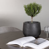 Jídelní stůl Kaseidon - Kulatý - Gumové dřevo / Tmavě hnědá MDF + Jídelní židle Evelina - Černá / Světle šedá Velvet _4