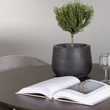 Jídelní stůl Kaseidon - Kulatý - Gumové dřevo / Tmavě hnědá MDF + Jídelní židle Evelina - Černá / Světle šedá Velvet _4