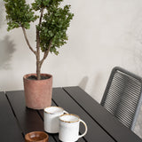 Denver Café Table 120*70 - Black Alu / Black Aintwood+Lindos Jídelní židle - Blac