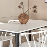 Jídelní stůl Jimmy, černá bílá HPL+jídelní židle Bobby Windsor, bílá_4