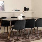 Jídelní stůl Petra , Distressed Copper Black Veneer+Wrinkles Jídelní židle , Černé nohy , Black Velvet_6