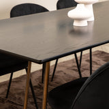 Jídelní stůl Petra , Distressed Copper Black Veneer+Wrinkles Jídelní židle , Černé nohy , Black Velvet_6