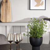 Jídelní stůl Olivia - černá / černá dýha + jídelní židle Eva - světle šedá / světle šedá Velvet _4