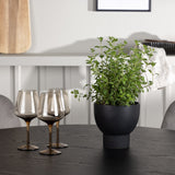 Jídelní stůl Olivia - černá / černá dýha + jídelní židle Eva - světle šedá / světle šedá Velvet _4