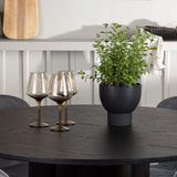 Jídelní stůl Olivia - černá / černá dýha + jídelní židle Lilja - černá / tmavě šedá látka _4