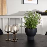 Jídelní stůl Olivia – černá / černá dýha + jídelní židle Polar – černý samet / chrom _4