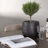 Jídelní stůl Kaseidon - kulatý - Gumové dřevo / Tmavě hnědá MDF + Jídelní židle Modesto - Béžová / Béžová Boucle _4