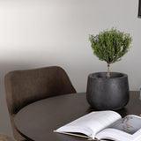 Jídelní stůl Kaseidon - Kulatý - Gumové dřevo / Tmavě hnědá MDF + Jídelní židle Zítra - Tmavý ořech / Tmavě šedá / Hnědá látka _4