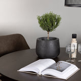 Jídelní stůl Kaseidon - Kulatý - Gumové dřevo / Tmavě hnědá MDF + Jídelní židle Zítra - Tmavý ořech / Tmavě šedá / Hnědá látka _4