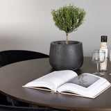 Jídelní stůl Kaseidon - kulatý - kaučukové dřevo / tmavě hnědá MDF + jídelní židle Selma - černá / černý samet _4