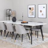 Polar Elips Matbord - Svart / Vit - 240*100*H75 +Sametová jídelní židle Mosaz - světle šedá / černá _6