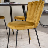 Jídelní stůl Dipp - 115 cm - Černá dýha / černé nohy s mosazným dippem + Limhamn Light - Židle - Gold Velvet_4