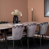 Jepara Matbord - Grå - 250*100*H76+Limhamn Light - Židle - Grey Velvet_6