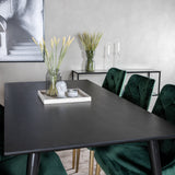 Jídelní stůl Dipp - 180*90cm - Černá dýha / celé černé nohy + Jídelní židle Velvet Deluxe - Zelená / Mosaz_6