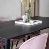 Jídelní stůl Dipp - 180*90cm - Černá dýha / celé černé nohy + Sametová jídelní židle Mosaz - Růžová / Černá_6