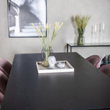 Jídelní stůl Dipp - 180*90cm - Černá dýha / celé černé nohy + Sametová jídelní židle - Růžová / Černá_6