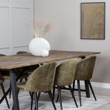 Jídelní stůl Malang - 250*100*H76 - Tmavý týk / Black+Velvet Jídelní křeslo - Černé nohy - Dusty Green Velvet_6