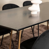 Jídelní stůl Petra , Distressed Copper Black Veneer+Wrinkles Jídelní židle , Černé nohy , Black Velvet_6