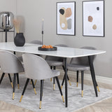 Polar Elips Matbord - Svart / Vit - 240*100*H75 +Sametová jídelní židle Mosaz - světle šedá / černá _6