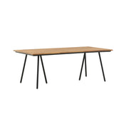 Jídelní stůl Chan, přírodní barva, 200x100