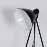 Stojací lampa Tiv, černá