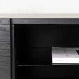 TV stolek Cuenca, černý, 45x160
