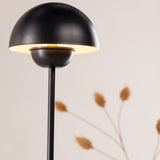 Stojací lampa Lyckorna, černá